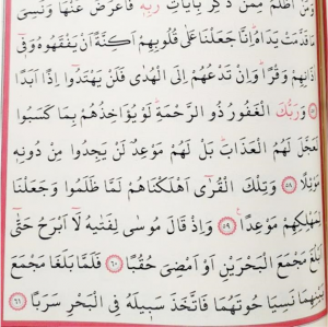 Text
