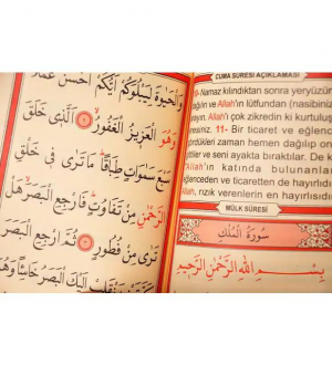 Text