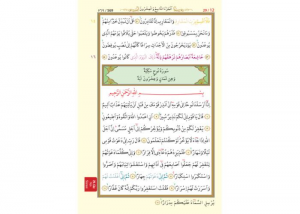 Text