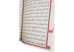 Text