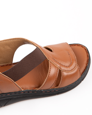 Text